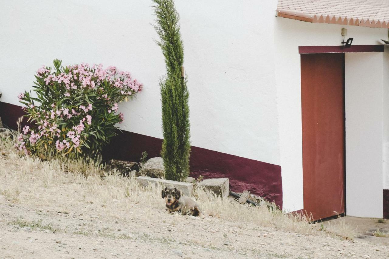 Casas Da Faia - Nature Guest House 아혼시스 외부 사진