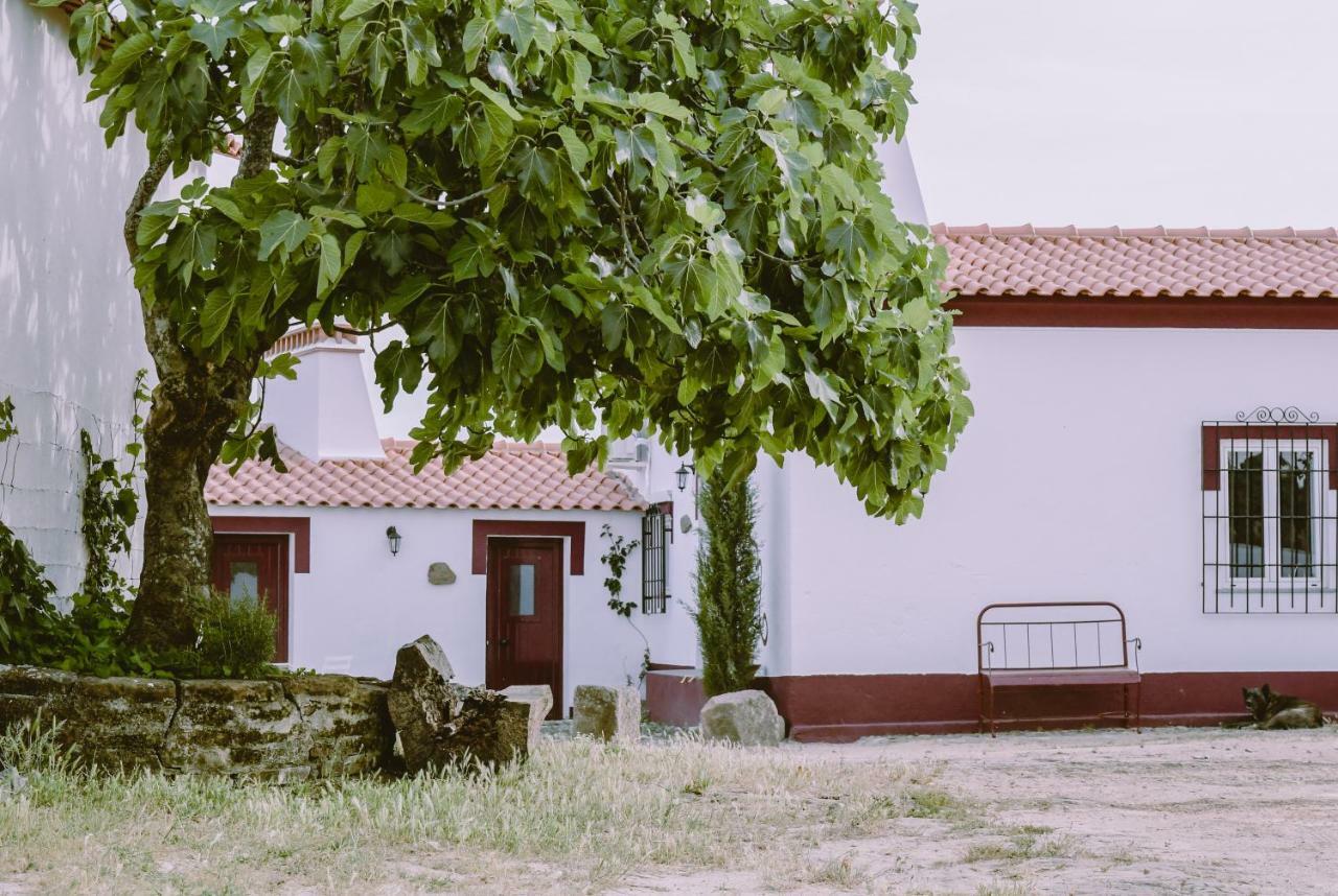 Casas Da Faia - Nature Guest House 아혼시스 외부 사진
