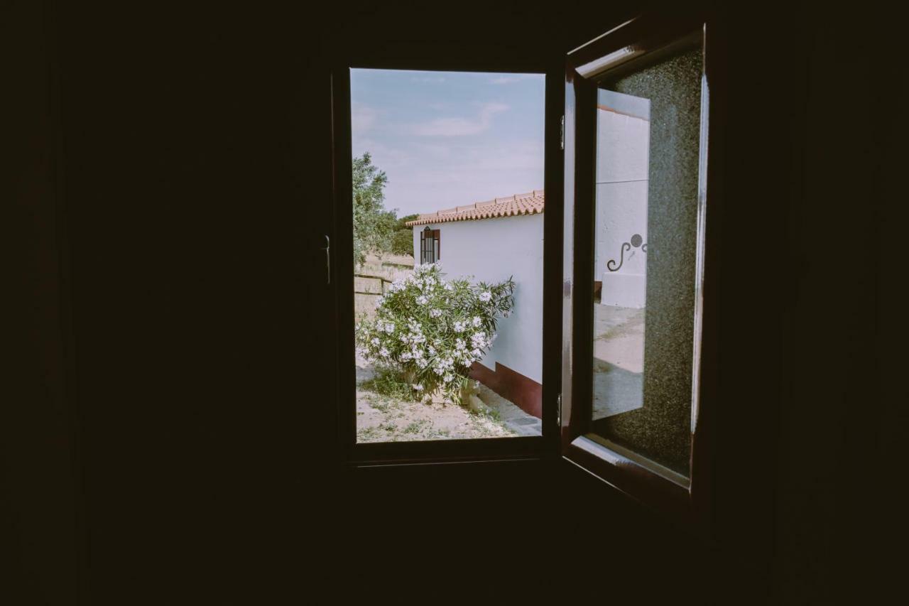 Casas Da Faia - Nature Guest House 아혼시스 외부 사진